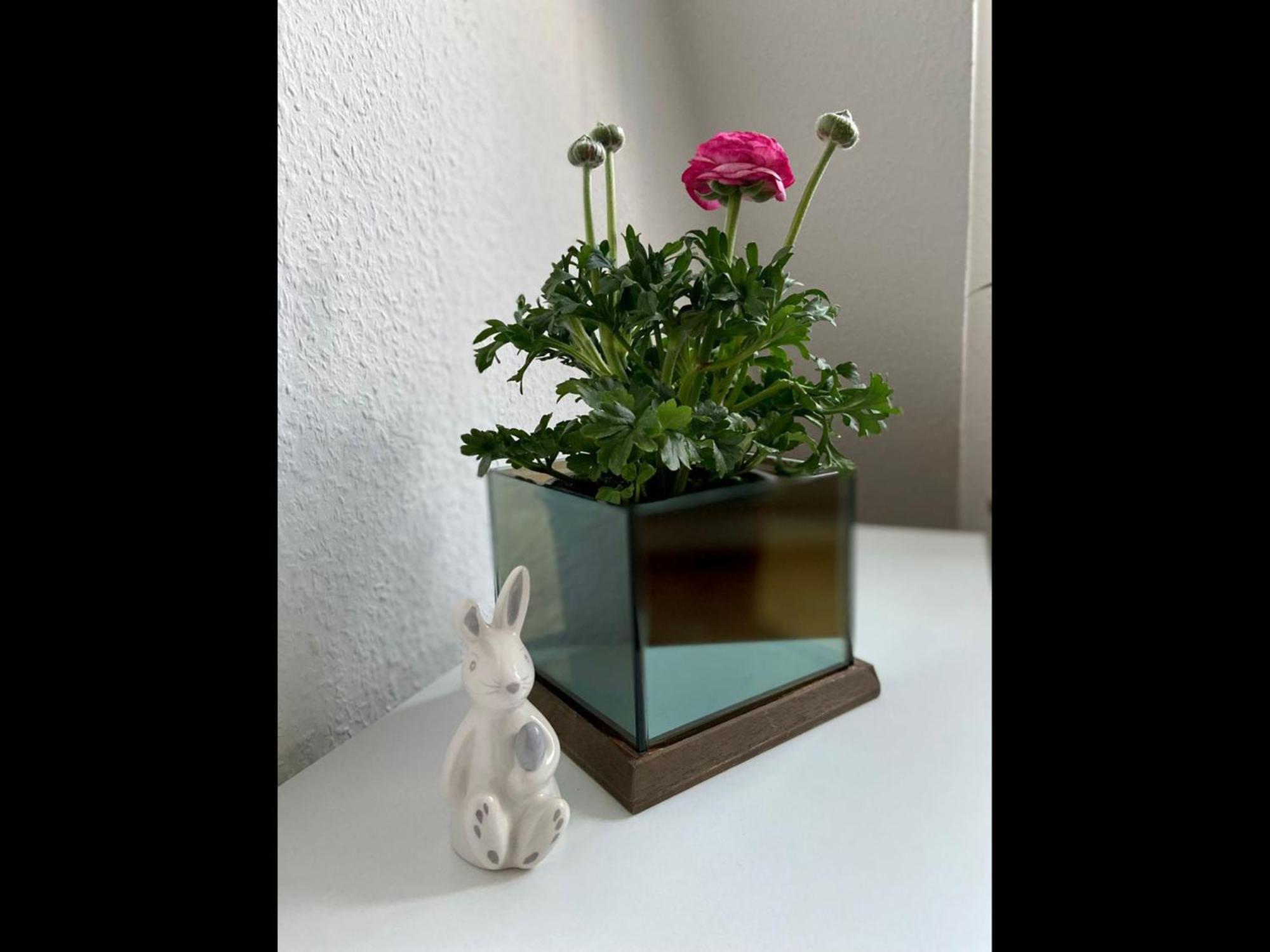 Neu Ferienwohnung Walsrode Exteriör bild